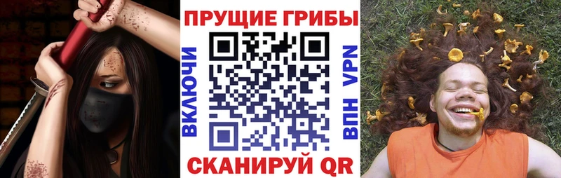 Псилоцибиновые грибы ЛСД Анжеро-Судженск